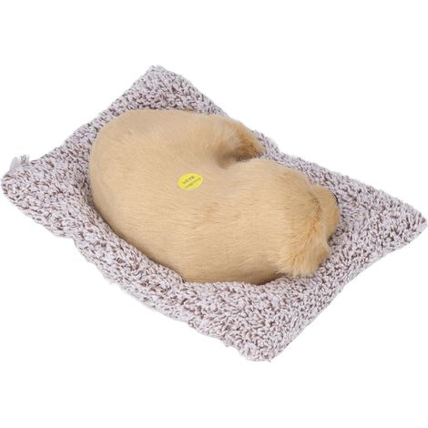 Chien en peluche réaliste avec sons, cadeau original et amusant, jouet en plastique pour voiture, décoration pour grande voiture, labrador. (1/5)