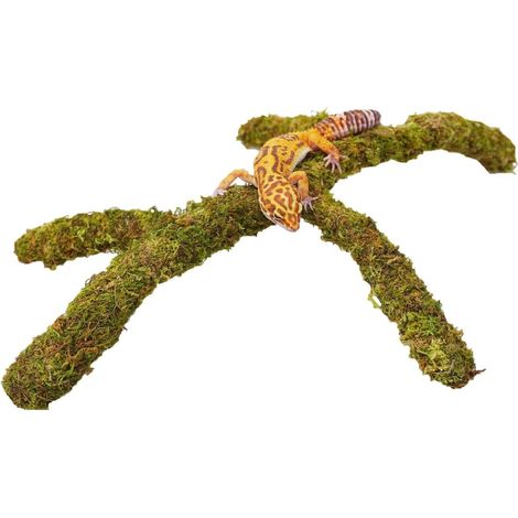 Branche de Mousse Pliable pour Reptiles Lianes Artificielles pour Décoration de Terrarium et Vivarium Caméléon Lézard Gecko Tortue (1/5)