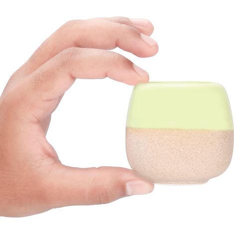 Mini Cache Pot en Céramique (Lot de 5) - L6.5 x H4.5 cm - Pot Cactus et Fleur avec Trous de Drainage - Maison, Bureau