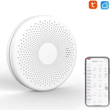 Tuya WLAN 2-in-1 Intelligenter Kohlenmonoxid-Rauchmelder mit CO-Gas-Schallmelder und Blitzlichtalarmfunktion