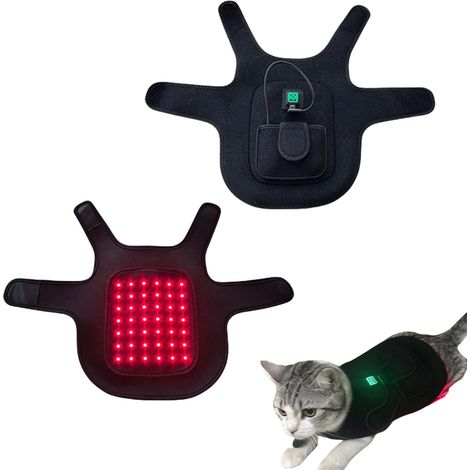 Tapis imperméable pour chien, idéal pour l'extérieur, lavable et parfait pour les voyages. Antistatique, hygiénique et pliable, il offre une grande couverture de voyage pour animaux de compagnie (110  (1/4)
