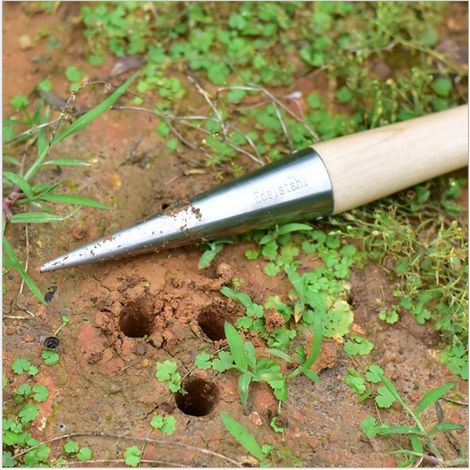 Ensemble d'outils de jardinage en 2 pièces : repiqueuse de légumes, semoir, perforatrice, arracheuse de semis agricoles. (1/4)