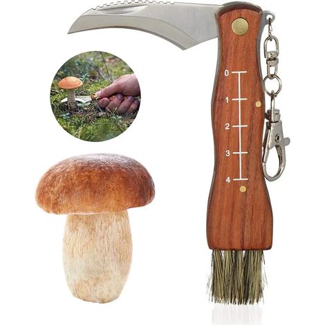 Pilzmesser mit Bürste, klappbarer Pilzschneider, doppelseitige Klinge, Camping-Pilzschneider