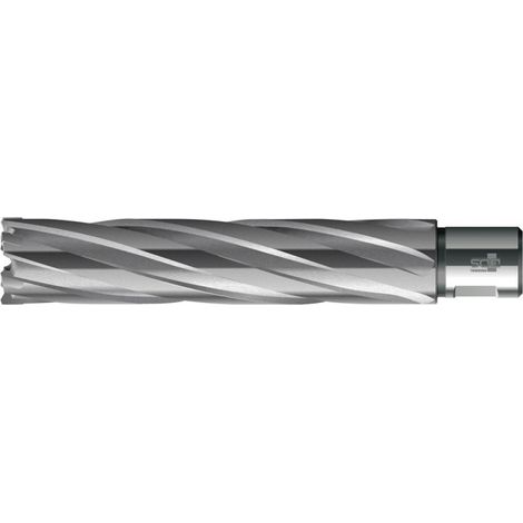 Broca trépano HKE-L Weldon HM extralarga 23/110 mm BDS