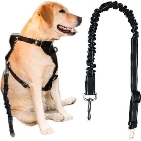 Ceinture de sécurité chien voiture noire, harnais auto réglable, laisse d'attache 2 pièces, robuste et confortable, voyage sécurité animal domestique. (1/5)