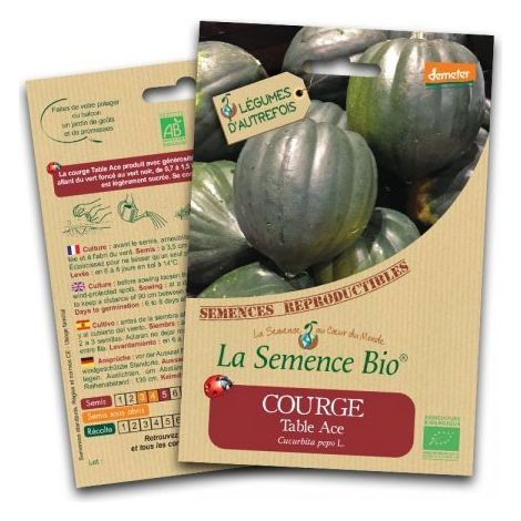 Graines Bio - Courge de table ace - Semence biologique