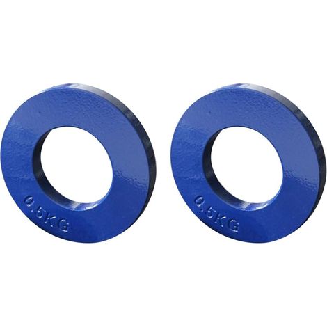2X Poids Fractionnaires Poids Fractionnaires Mini Plaques de Poids Plaques de Musculation Accessoire de Disque Précis Bleu 0.5Kg (1/5)