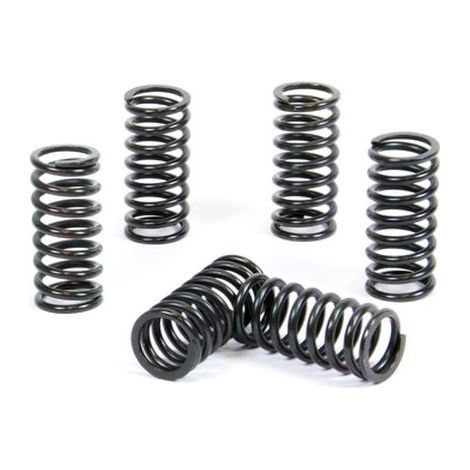 Molle frizione Prox per KTM SX/EXC 250/300/360/380 96-12 Resistenti
