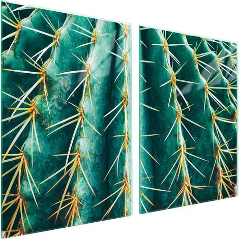 Plaque de protection en verre pour poêle 2x45x52 Cactus (1/5)