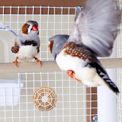 Matériel De Nidification D'Oiseaux En Jute Et Coton Panier Nidification Oiseaux Avec Tapis Pour Nid D'Oiseau Accessoire De Cage Pour Canaris Perruches Pinsons Et Calopsittes 7.307.306.50 Cm (1/4)