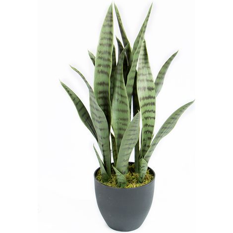 PLANTA ARTIFICIAL SANSEVIERIA 70 CM (1/3)