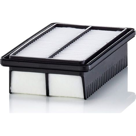 Filtre à air Mann Filter C25050