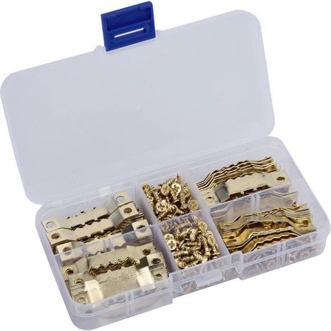Cintre pour Cadres 100Pcs Cadres Photo à Suspendre en Dents de Scie Crochets de Cadre Photo Cintres à Cadre Photo en Métal Kits Double Trou avec 200 Vis de Montage, Dorée