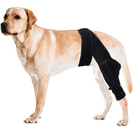 Rodillera para perros para las patas traseras, cómoda y con barra de soporte ajustable con dos estabilizadores, soporte adicional, color negro (1/5)