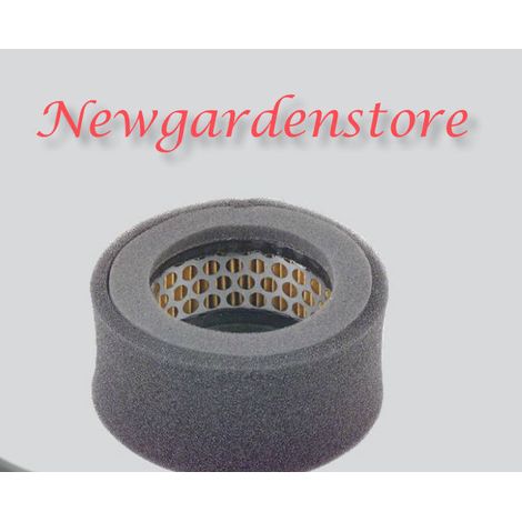 Filtro aria compatibile motore 4tempi rasaerba ROBIN 30-429 EC10 580-30390-00