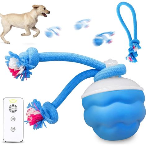Jouet interactif pour chien, balle de jeu interactive pour chien, jouet mobile pour chien, balle roulante active avec queue, chien, balle auto-enroulante, balle mobile rechargeable pour chien, chiot (1/5)