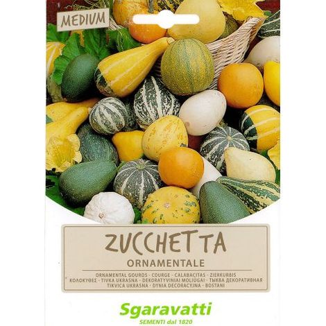 SEMI PER PRATO UNIVERSALE zucchette ornamentali