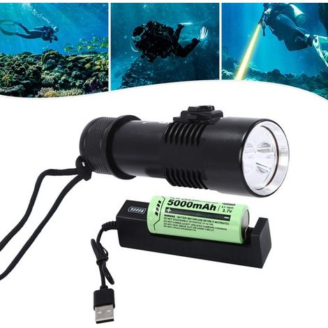 LED Dive Light Waterproof Compact Bright Diving Torch, Submersible Flashlight (1/5)