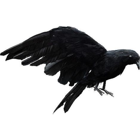 Lot de 2 corbeaux aux couleurs vives pour décorations d'Halloween (1/3)