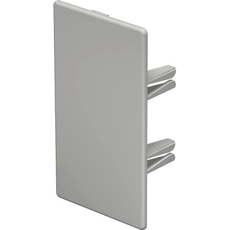 OBO Bettermann Tapa final 60x110mm Cloruro de polivinilo blanco puro RAL 9010, 6193307