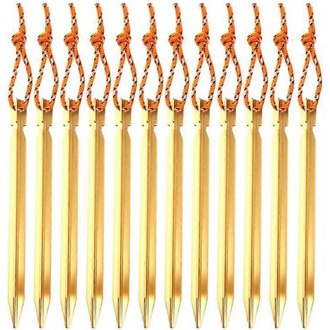 Piquets de tente multifonctions en aluminium pour structures de jardin et de terrasse, 40JE