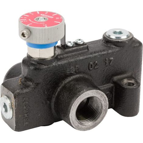 VFD120RD250J VAR F/D 3/4" BSPP PORTS WEBTEC VFD120RD250J (1/5)