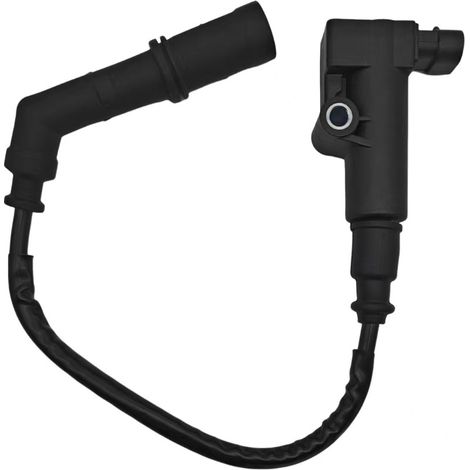 Compatible avec les pièces de bobine d'allumage à fiche ronde Delphi pour motos Qingqi/Daehan/Hyosung/GV300, bobines d'allumage arrière à fil long