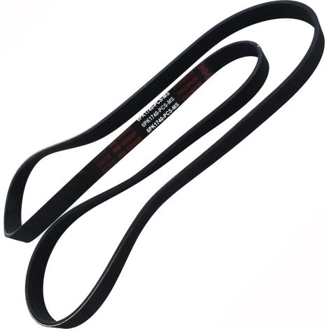 CINGHIA POLARE PK 6PK1740 (1/2)