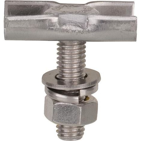 Ecrou pour rail M8x30 inox V2A 1 pièce BG (1/2)