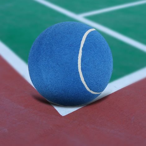 Balle de jeu géante en caoutchouc souple pour chien, 8 pouces avec filet, jouet d'extérieur bleu pour animaux (1/4)