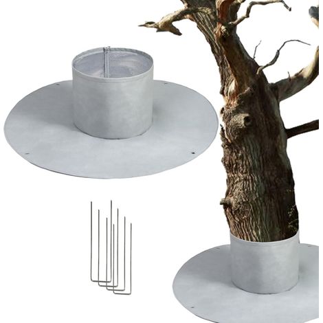 Protection des Racines pour Palmiers - Protection hivernale pour Arbres - (1/5)