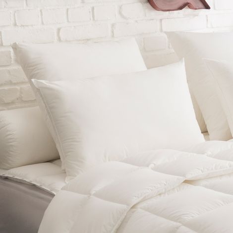Oreiller Ultraconfort MEDIUM - 40/60 - DODO (1/2)