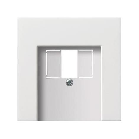 Gira Zentralplatte TAE rws-gl 0276112 (1/5)