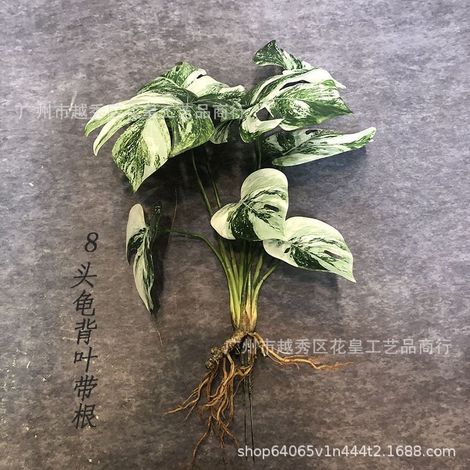 Plante Artificielle - Monstera - 50 cm - Décoration Intérieure Salon Bureau Boutique - 1 Pièce (1/5)
