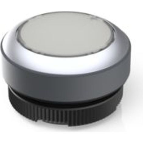 RAFI 1.30.270.921/2200 RAFIX 22 FS Leuchtdrucktaster    tastend  (L x B x H) 29.8 x 29.8 x 18.5 mm