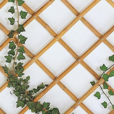 Traliccio bambu 60x240 cm (1/3)