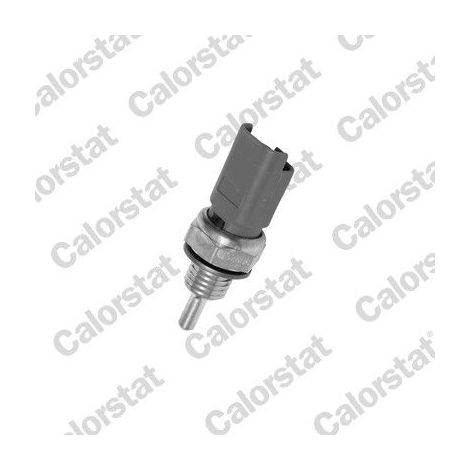 Sonde, température du liquide de refroidissement CALORSTAT by Vernet WS2606 DS