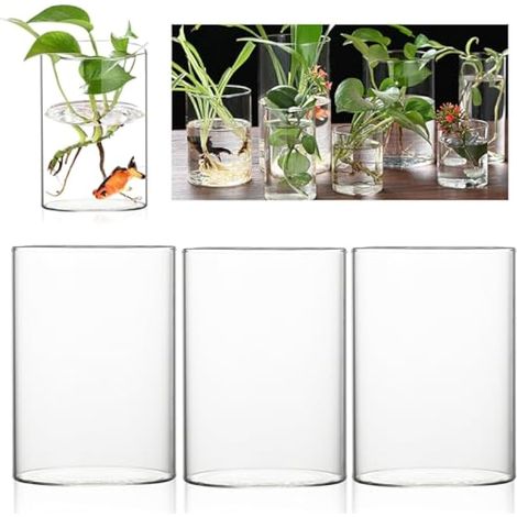 Lot de 3 vases cylindriques en verre transparent avec fond - 10 x 15 cm - Vase cylindrique moderne - Bougeoir en verre - Ensemble de vases pour orchidées, roses, tulipes, bougies (1/5)