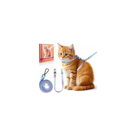4-in-1 Katzentransportbox-Set – Ausbruchsicher und verstellbar – Leichte Transportbox mit Autoleine – Geeignet für kleine, mittlere und große Katzen (S) – Crezuo