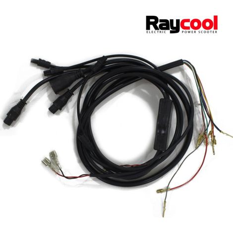 Set de cables completo para Patinetes Raycool Brushless (1/4)