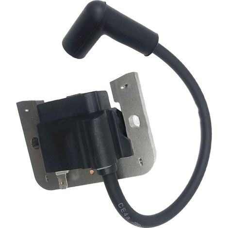 Module d'allumage Fer pour robuste pour CH18 CH20 CH22 Module Compatible CH18, CH20, CH22, référence 24-584-01S, étincelle , démarrage moteur optimisé (1/5)