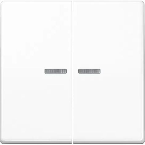 Jung Wippe 2fach, mit Lichtleiter, Thermoplast, Serie AS, alpinweiß AS 591-5 KO5BF WW (1/2)