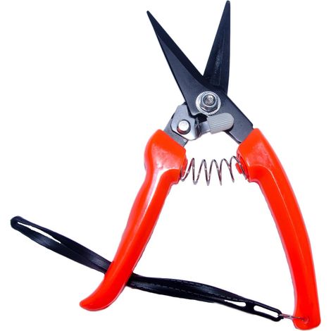 Cisaille de Parage Professionnelle - 1 Pièce - Acier Carbone SK5 - Lames Semi-Dentées Anti-Glisse - Élevage Moutons Chèvres - 20,3 cm Rouge et Noir (1/5)