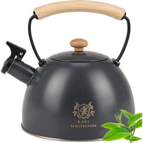 Bouilloire électrique Karl Hausmann en acier inoxydable avec sifflet, 2,5 L, pour plaque de cuisson, grise (1/5)