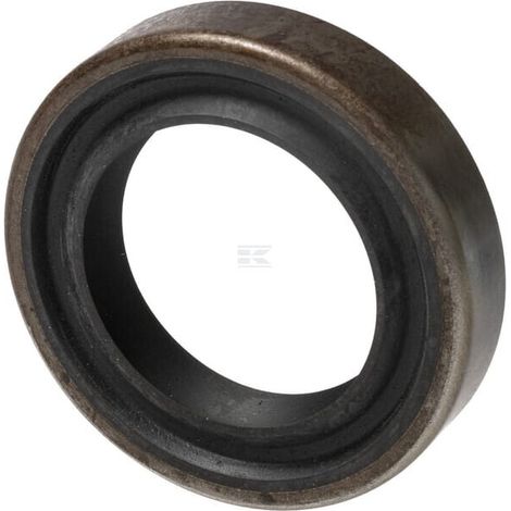 Dichtung CNH 40001280 (1/2)