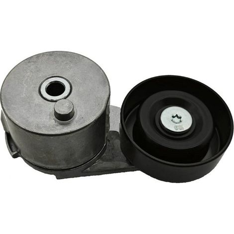 Tendeur de courroie, courroie trapézoïdale à nervures SKF VKM 35219 OPEL