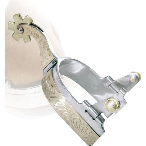 Éperons en acier inoxydable avec inserts plaqués nickel argent et bande de roue interchangeable de 14"