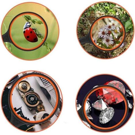 Loupe 10X,Loupe de Lecture,loupe Enfant,loupe Enfant Insecte,loupe 80 mm,Loupe avec poignée en Caoutchouc Souple antidérapante,pour Enfants et Personnes âgées