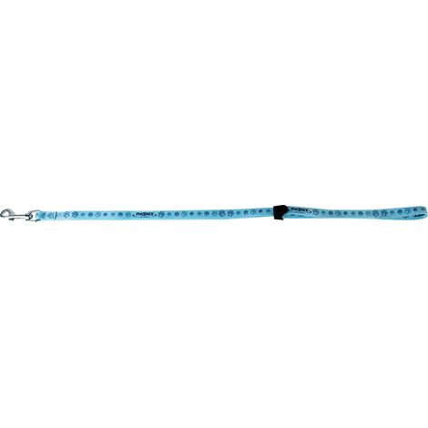 Sangle de toilettage 60 cm