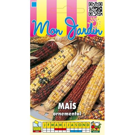 Maïs ornemental en mélange - 6g